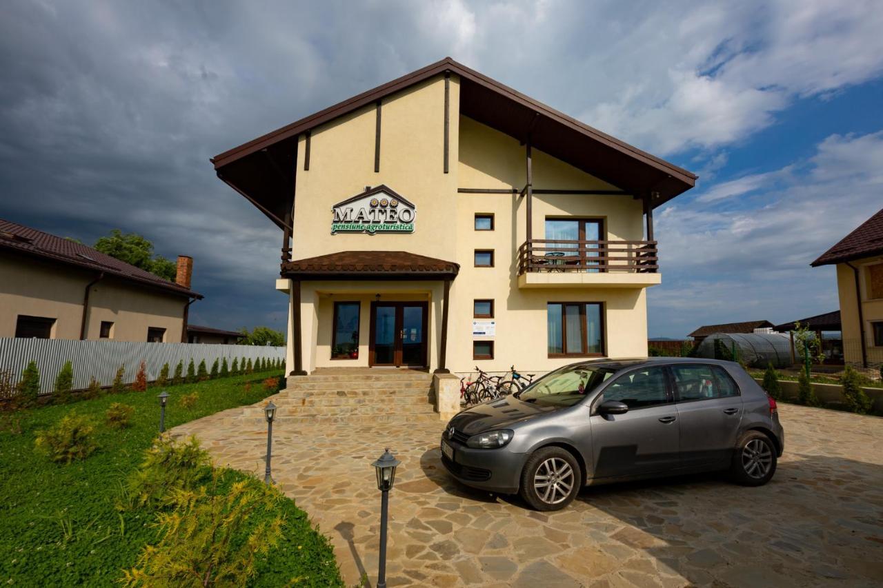 Hotel Pensiunea Mateo Buzău Exterior foto